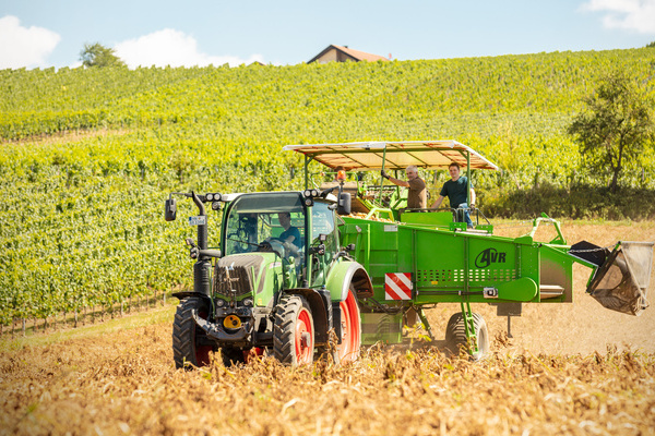 Kartoffelhof Rie� GbR