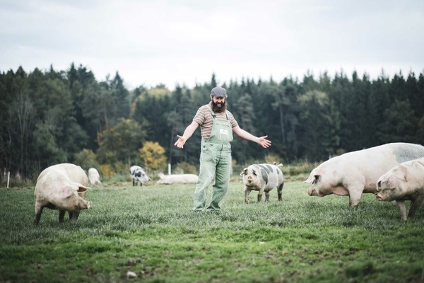 Artenvielfalt Hochstetterhof 