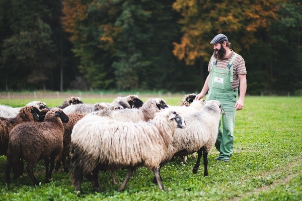 Artenvielfalt Hochstetterhof 