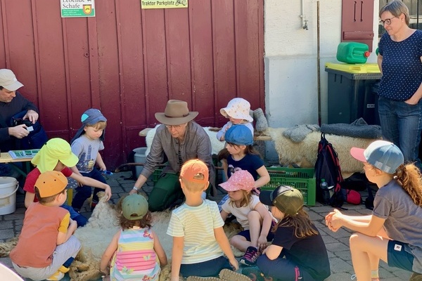 Hebsack-Schafe Kappeller