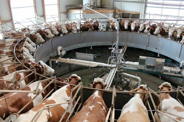 Kobeleshof GbR H. und M. Zwick