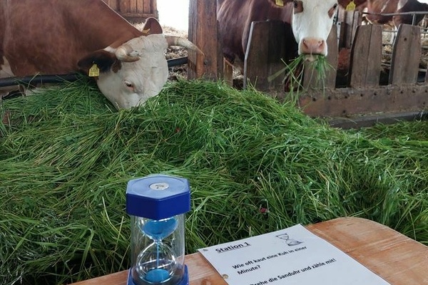 L�ffler Hof, Lechner GbR