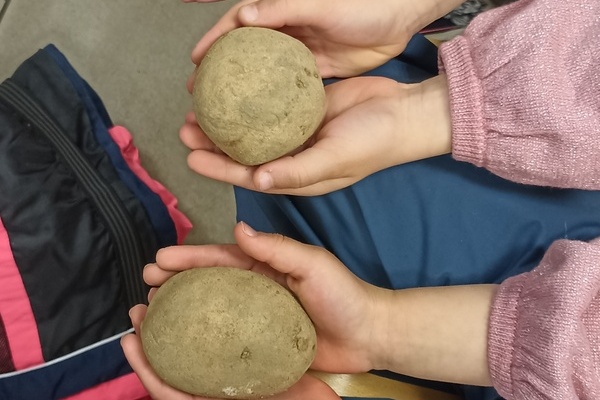 Kartoffelhof Steinhauser