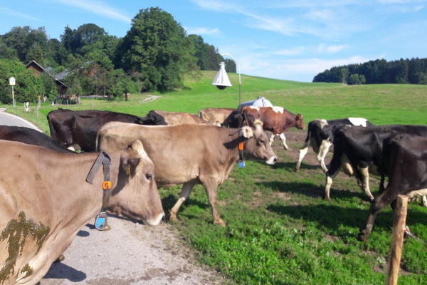 Biohof F��ler GbR