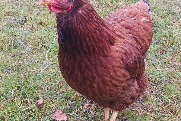  Klosterhof Amtenhausen